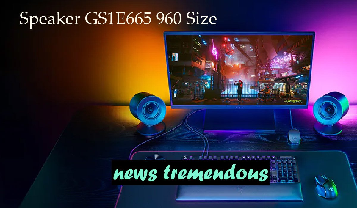 Speaker GS1E665 960 Size