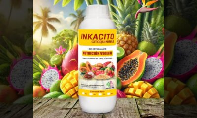 Inkacito