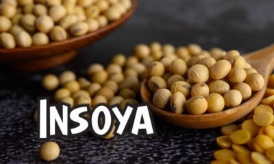Insoya