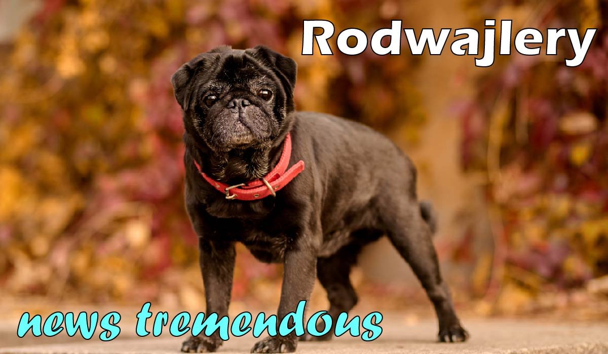 Rodwajlery